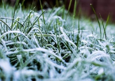 Inmet confirma queda de temperatura em v&aacute;rias regi&otilde;es. Todo o Sul de Minas ser&aacute; afetado
