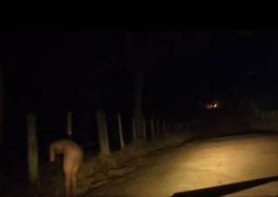 Moradores relatam presen&ccedil;a frequente de pessoas drogadas na estrada do Cristal durante eventos em s&iacute;tio