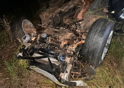 Motorista do autom&oacute;vel levado para hospital em PA. Quatro bois morreram no local
