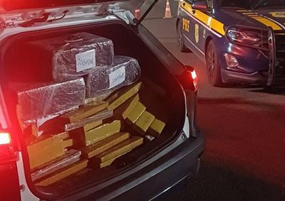 Droga estava escondida em mudan&ccedil;a e coberta com p&oacute; de caf&eacute; para mascarar o odor&nbsp;