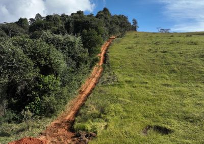Medidas preventivas adotadas pela Prefeitura co&iacute;bem o risco de inc&ecirc;ndios no Parque Natural Municipal&nbsp;