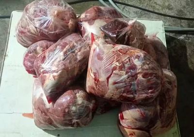 Equinos eram mortos por m&eacute;todo cruel, com golpes de marreta na cabe&ccedil;a