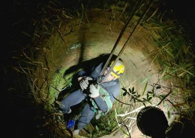 Crian&ccedil;a de 10 anos foi retirada com seguran&ccedil;a. Durante a opera&ccedil;&atilde;o, equipe encontrou e salvou um c&atilde;o ferido no fundo da estrutura