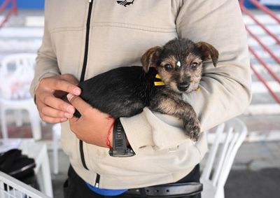 Ser&atilde;o disponibilizados animais resgatados de situa&ccedil;&otilde;es de abandono que aguardam a oportunidade de um novo lar