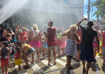 Objetivo &eacute; fomentar a participa&ccedil;&atilde;o dos blocos e organizar a estrutura necess&aacute;ria para o Carnaval 2027