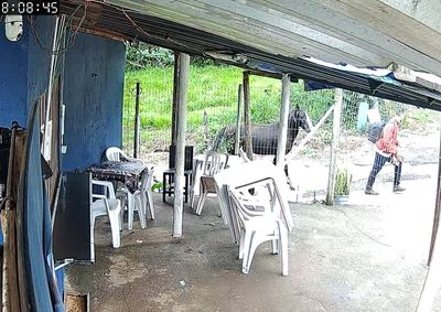 Propriet&aacute;rio disse que o equino pertencia a uma crian&ccedil;a, que est&aacute; inconsol&aacute;vel&nbsp;