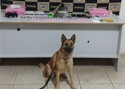Crack, maconha, ecstasy e haxixe, al&eacute;m de milhares de pinos vazios e equipamentos foram apreendidos