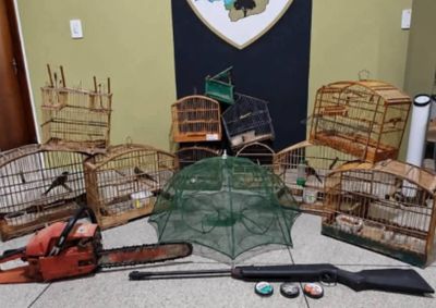 PM Ambiental aprendeu carne de animais silvestres abatidos, armadilhas, aves em cativeiro e moto