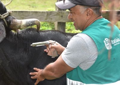 Nova data limite permite aos pecuaristas vacinar seus rebanhos e entregar a declara&ccedil;&atilde;o de vacina&ccedil;&atilde;o em uma das unidades da Defesa Agropecu&aacute;ria do Estado.
