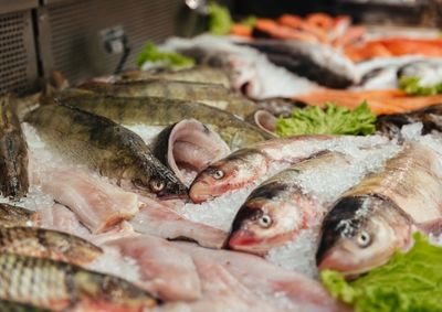 Profissional aponta benef&iacute;cios do consumo e orienta sobre como identificar peixes frescos, al&eacute;m do cuidado com o armazenamento