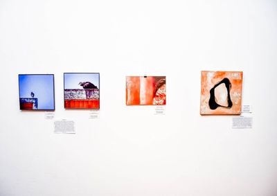 Exposi&ccedil;&atilde;o ser&aacute; aberta no dia 18 de junho e busca incentivar a produ&ccedil;&atilde;o cultural, promover o interc&acirc;mbio entre artistas e ampliar o acervo do MAM 