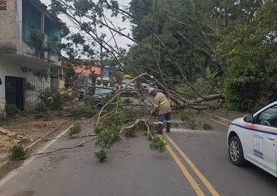 Ocorr&ecirc;ncia aconteceu durante a madrugada de quinta-feira no bairro Cidade Alegria
