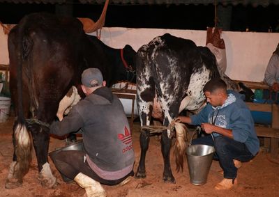 Evento come&ccedil;a na pr&oacute;xima quarta-feira, da 15, no Parque de Exposi&ccedil;&otilde;es do distrito