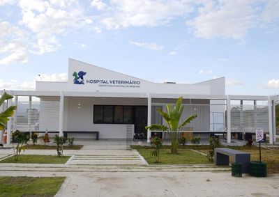 Unidade, que completa seis anos em agosto, tornou-se refer&ecirc;ncia regional e estadual em atendimento gratuito para c&atilde;es e gatos