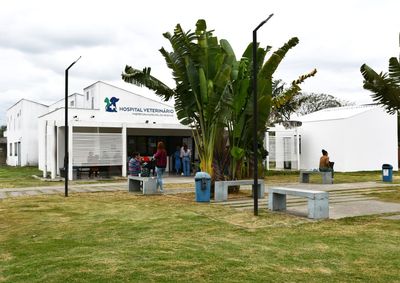 Setor funcionar&aacute; anexo ao Hospital Veterin&aacute;rio Municipal, no bairro Morada da Colina
