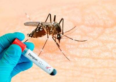 N&uacute;mero de confirma&ccedil;&otilde;es despenca nos &uacute;ltimos anos e munic&iacute;pio mant&eacute;m a&ccedil;&otilde;es de preven&ccedil;&atilde;o e monitoramento nos bairros