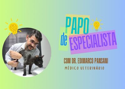 M&eacute;dico veterin&aacute;rio Dr. Edimarco Pansani compartilhou orienta&ccedil;&otilde;es sobre sa&uacute;de, alimenta&ccedil;&atilde;o e bem-estar dos pets no dia a dia.