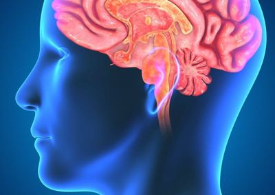 No Setembro Lil&aacute;s, m&ecirc;s mundial de conscientiza&ccedil;&atilde;o sobre a doen&ccedil;a de Alzheimer, especialistas refor&ccedil;am a import&acirc;ncia de cuidar da audi&ccedil;&atilde;o