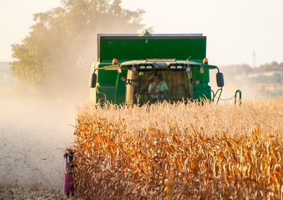 Confira a cota&ccedil;&atilde;o das principais culturas agr&iacute;colas da regi&atilde;o para essa segunda (8)
