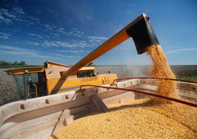 Confira a cota&ccedil;&atilde;o das principais culturas agr&iacute;colas da regi&atilde;o para essa quinta (11)