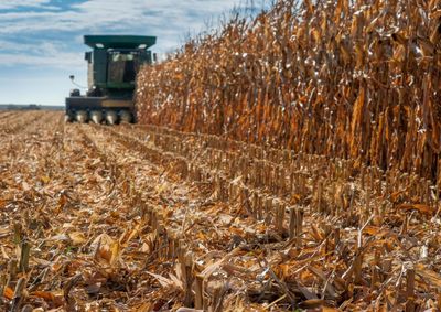 Confira a cota&ccedil;&atilde;o das principais culturas agr&iacute;colas da regi&atilde;o para essa ter&ccedil;a (30)