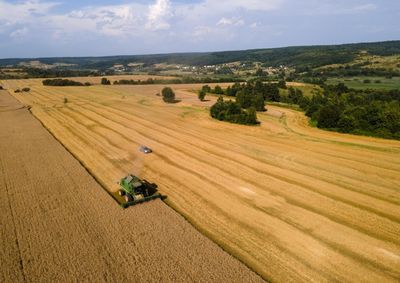 Confira a cota&ccedil;&atilde;o das principais culturas agr&iacute;colas da regi&atilde;o para essa sexta (5)