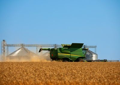 Confira a cota&ccedil;&atilde;o das principais culturas agr&iacute;colas da regi&atilde;o para essa ter&ccedil;a (9)