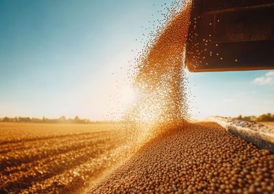 Confira a cota&ccedil;&atilde;o das principais culturas agr&iacute;colas da regi&atilde;o para essa quarta (1&ordm;)