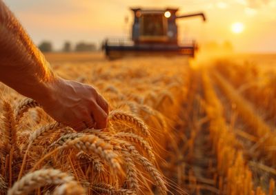 Confira a cota&ccedil;&atilde;o das principais culturas agr&iacute;colas da regi&atilde;o para essa quinta (16)