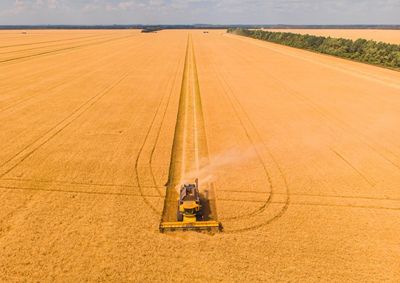Confira a cota&ccedil;&atilde;o das principais culturas agr&iacute;colas da regi&atilde;o para essa quinta (2)