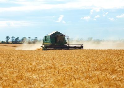 Confira a cota&ccedil;&atilde;o das principais culturas agr&iacute;colas da regi&atilde;o para essa quarta (8)