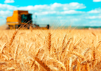 Confira a cota&ccedil;&atilde;o das principais culturas agr&iacute;colas da regi&atilde;o para essa segunda (13)