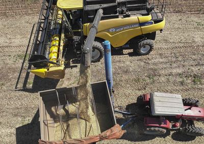 Com forte presen&ccedil;a de cooperativas e produ&ccedil;&atilde;o de gr&atilde;os, leite e su&iacute;nos, Oeste do Paran&aacute; deve ser beneficiado pelas novas linhas de cr&eacute;dito rural