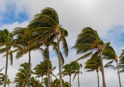 Rajadas podem superar 60 km/h na regi&atilde;o e aumentar o risco de destelhamentos; calor intenso tamb&eacute;m marca o fim de semana em Santa Helena