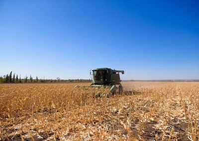 Confira a cota&ccedil;&atilde;o das principais culturas agr&iacute;colas da regi&atilde;o para essa ter&ccedil;a (25)