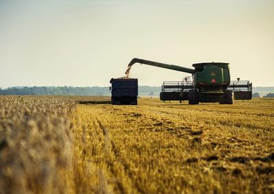Confira a cota&ccedil;&atilde;o das principais culturas agr&iacute;colas da regi&atilde;o para essa sexta (21)
