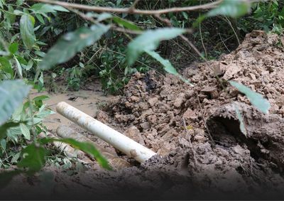 A&ccedil;&atilde;o do conv&ecirc;nio Linha Ecol&oacute;gica reuniu secretarias, gestores Ambientais e estudantes na recupera&ccedil;&atilde;o e conserva&ccedil;&atilde;o dos recursos h&iacute;dricos