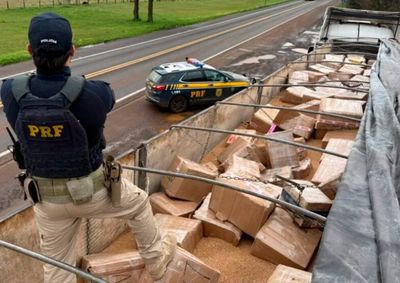 Maior apreens&atilde;o do ano ocorreu em Gua&iacute;ra, onde PRF encontrou quase 6,8 toneladas de maconha em um cont&ecirc;iner