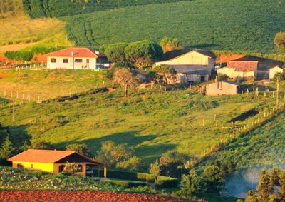 Prazo come&ccedil;ou na segunda-feira (10) e segue at&eacute; 30 de setembro; atraso pode gerar multa e restri&ccedil;&otilde;es ao produtor