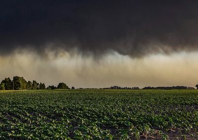 Alerta vale at&eacute; as 23h59 desta sexta-feira (14) e abrange munic&iacute;pios do Oeste, Sudoeste, Centro e Norte do Paran&aacute;.