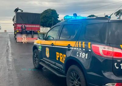 Carga ilegal estava escondida sob milho em gr&atilde;os; motorista de 34 anos foi preso e encaminhado &agrave; Delegacia