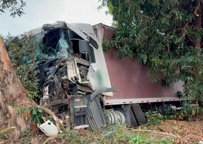 Motorista perdeu o controle em uma curva, saiu da pista e atingiu uma &aacute;rvore; apesar da destrui&ccedil;&atilde;o da cabine, ele n&atilde;o teve ferimentos graves