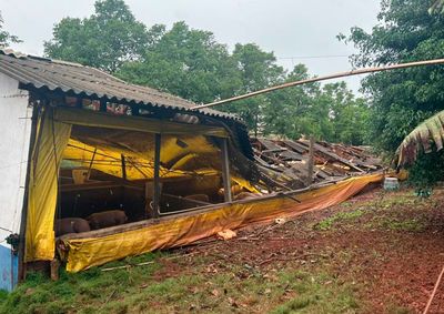 Ventos fortes destru&iacute;ram estrutura que abrigava cerca de 950 su&iacute;nos, derrubaram &aacute;rvores e causaram danos &agrave; rede el&eacute;trica