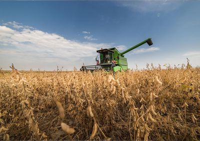 Confira a cota&ccedil;&atilde;o das principais culturas agr&iacute;colas da regi&atilde;o para essa quinta (3)