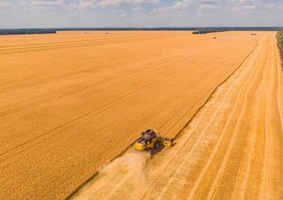 Confira a cota&ccedil;&atilde;o das principais culturas agr&iacute;colas da regi&atilde;o para essa segunda (14)