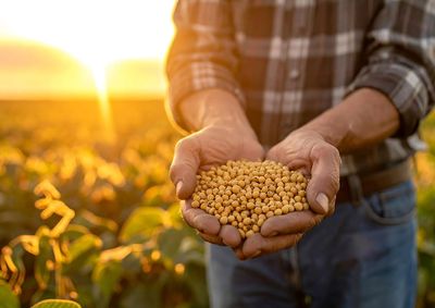 Confira a cota&ccedil;&atilde;o das principais culturas agr&iacute;colas da regi&atilde;o para essa ter&ccedil;a (22)