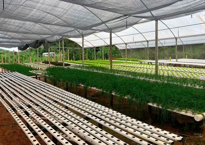 Recurso pode ser usado para insumos, m&atilde;o de obra e despesas rurais; Sicredi prev&ecirc; R$ 27,6 bilh&otilde;es para custeio na safra 2026/2027