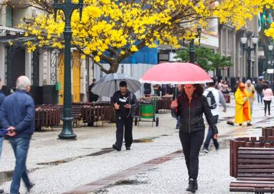 Simepar prev&ecirc; altern&acirc;ncia entre frio e calor, com chuva frequente e possibilidade de geadas pontuais no Oeste do Paran&aacute;