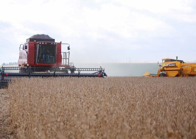 Estimativa aponta crescimento de 4% na produ&ccedil;&atilde;o estadual; plantio j&aacute; alcan&ccedil;ou 62% da &aacute;rea prevista, segundo o Deral
