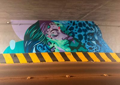 Projeto On&ccedil;a Grafiteira leva representa&ccedil;&otilde;es da esp&eacute;cie a espa&ccedil;os do munic&iacute;pio e aproxima arte, turismo e conserva&ccedil;&atilde;o